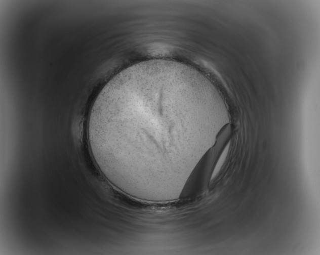 X0000087590495200705251904