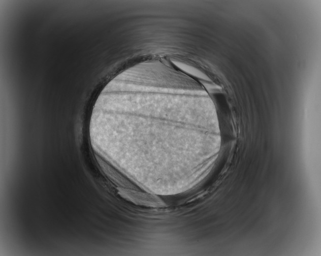X0000087590496200705251904