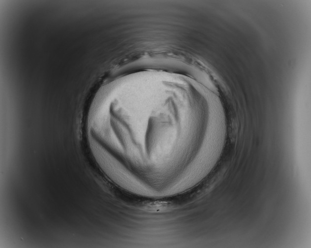 X0000087590497200705251904