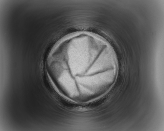 X0000087590498200705251904