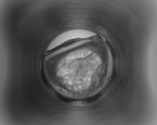 X0000087590499200705251904