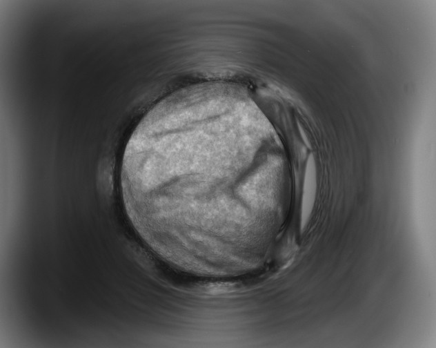 X0000087590501200705251904