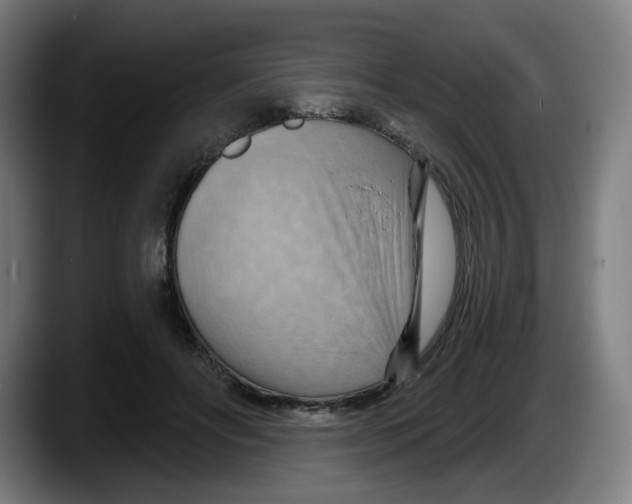 X0000087590502200705251904