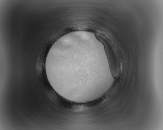 X0000087590503200705251904