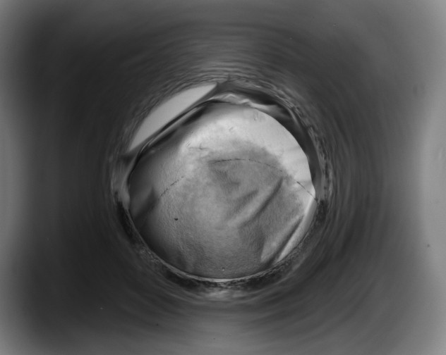 X0000087590504200705251904