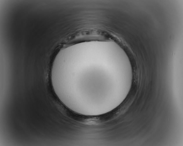 X0000087590505200705251904
