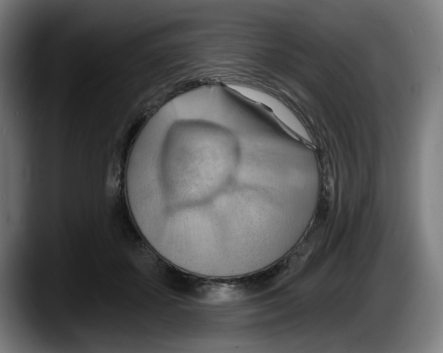 X0000087590507200705251904