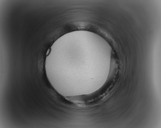 X0000087590509200705251904
