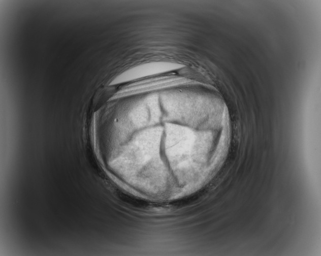 X0000087590510200705251904