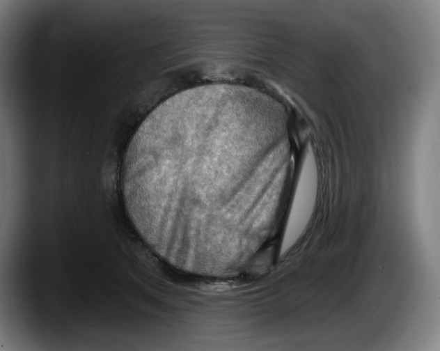 X0000087590513200705251904