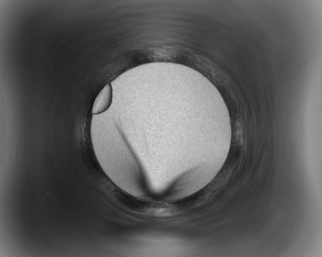 X0000087590514200705251904