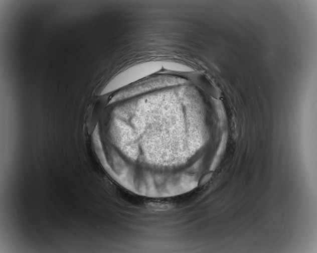 X0000087590515200705251904