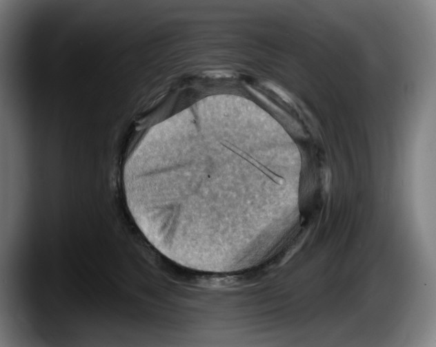 X0000087590517200705251904
