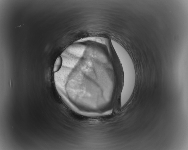 X0000087590519200705251904
