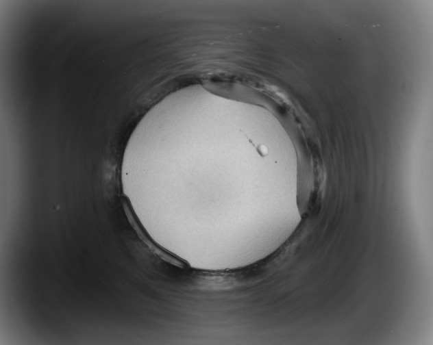 X0000087590521200705251904
