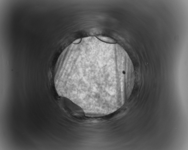 X0000087590523200705251904