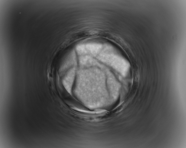 X0000087590524200705251904