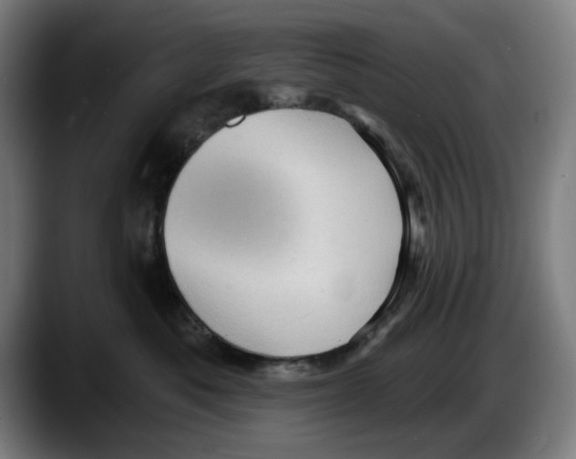 X0000087590525200705251904