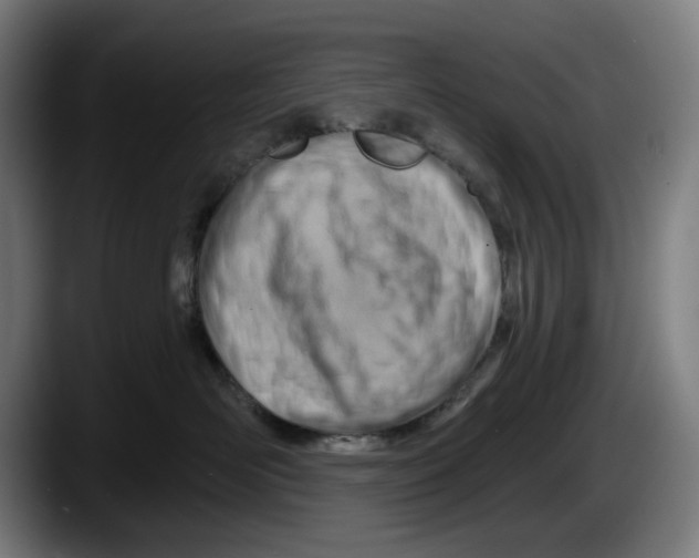 X0000087590526200705251904