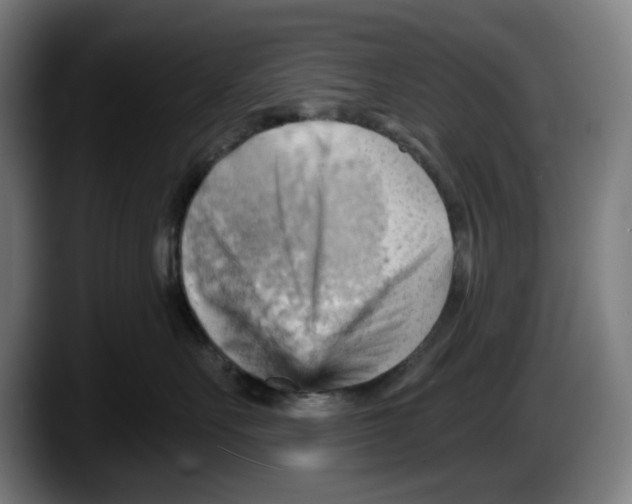 X0000087590527200705251904