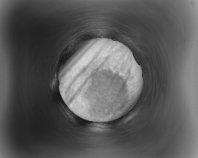X0000087590528200705251904