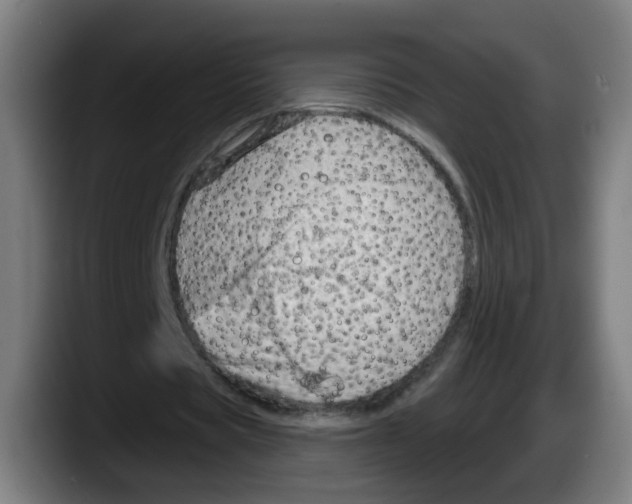X0000087590529200705251903
