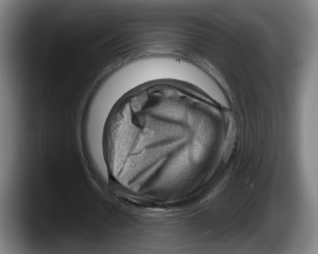 X0000087590530200705251903
