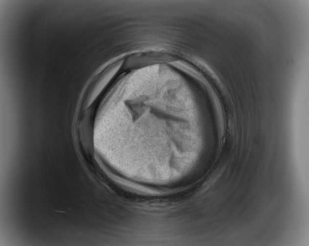 X0000087590532200705251903