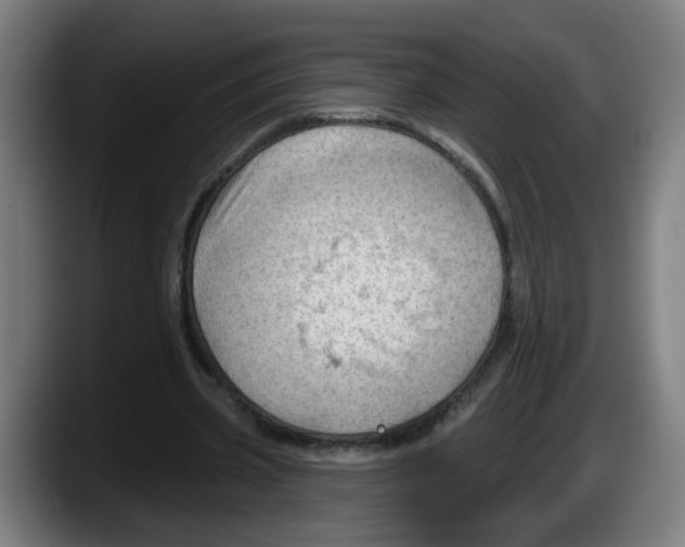 X0000087590533200705251903