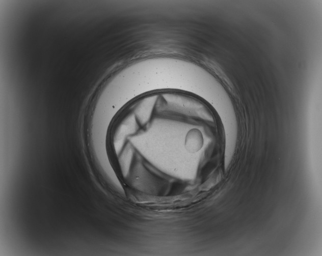 X0000087590534200705251903