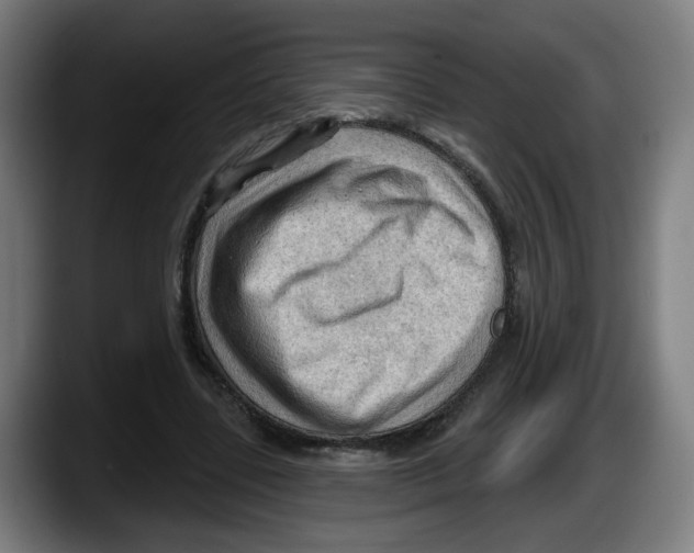 X0000087590539200705251903