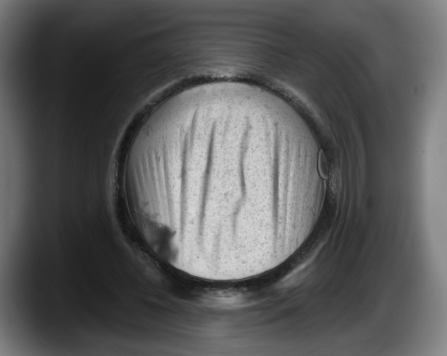 X0000087590540200705251903