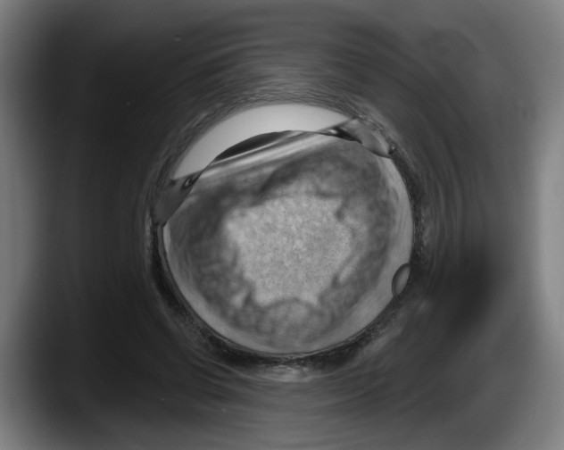 X0000087590542200705251903