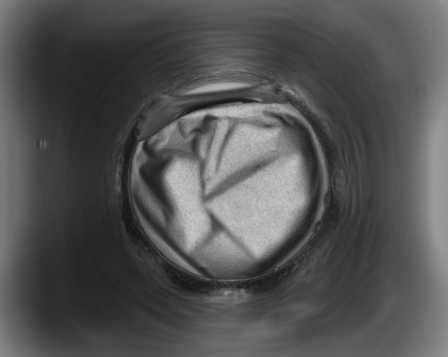 X0000087590543200705251903