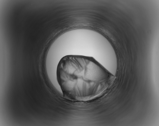 X0000087590544200705251903