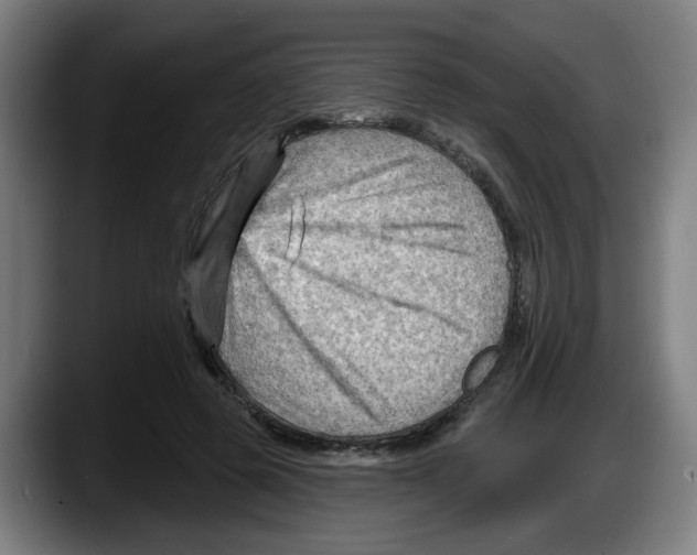 X0000087590545200705251903