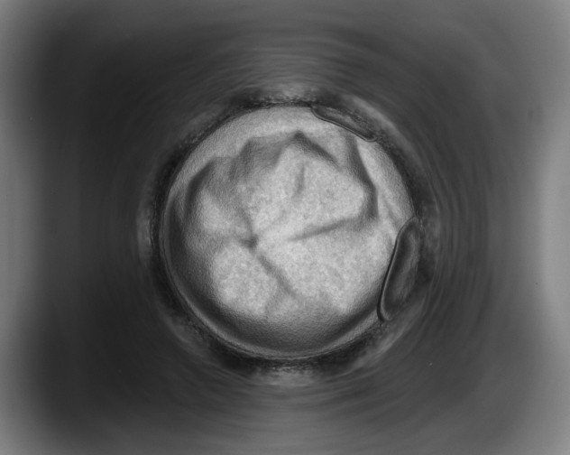 X0000087590546200705251903