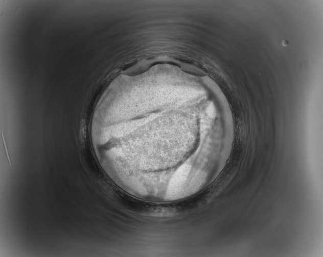 X0000087590549200705251904