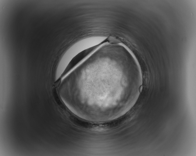 X0000087590550200705251904