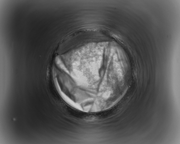 X0000087590551200705251904