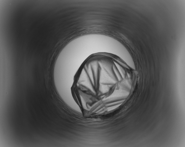 X0000087590552200705251904