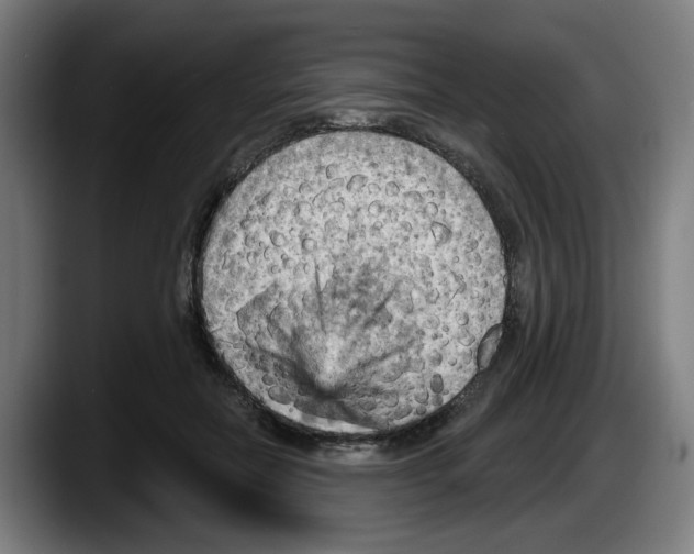 X0000087590554200705251904