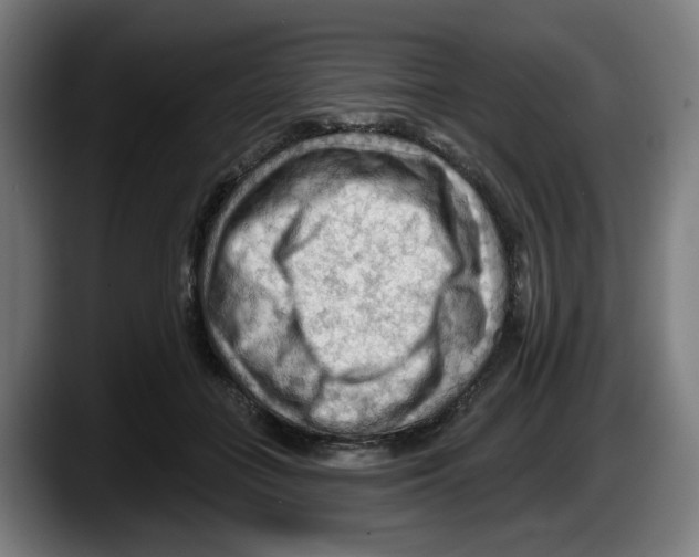 X0000087590555200705251904