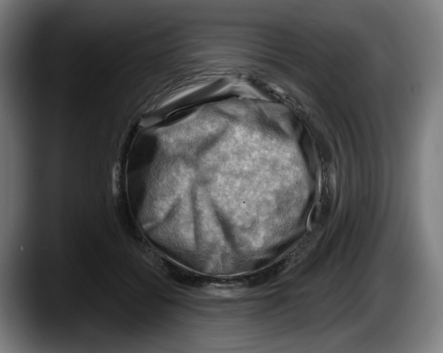X0000087590556200705251904