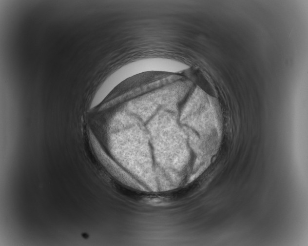 X0000087590557200705251904