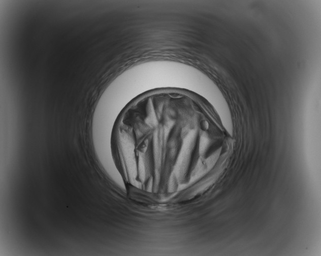 X0000087590558200705251904