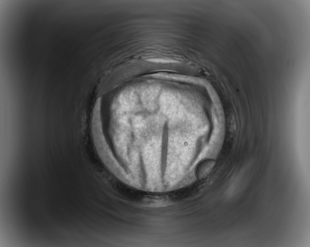X0000087590559200705251904