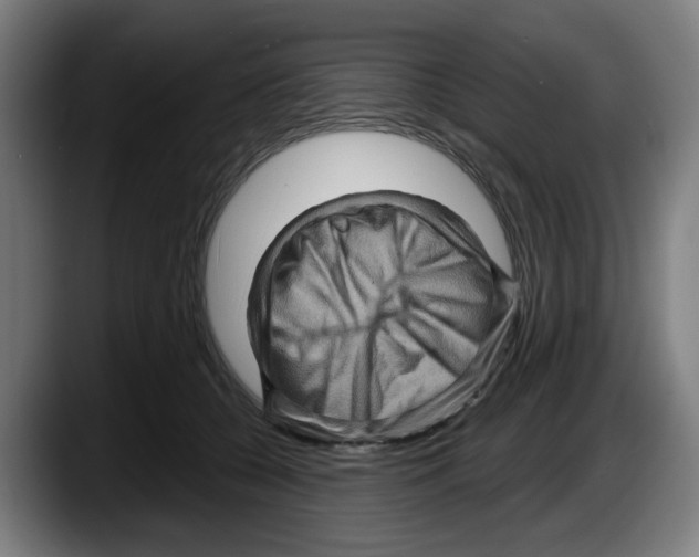 X0000087590560200705251904