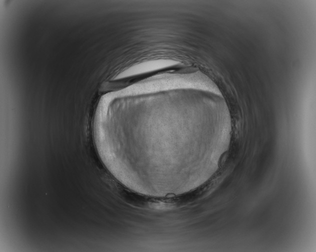 X0000087590561200705251904