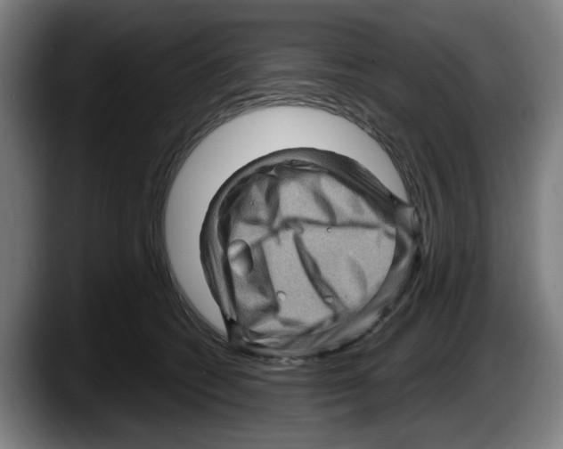 X0000087590562200705251904